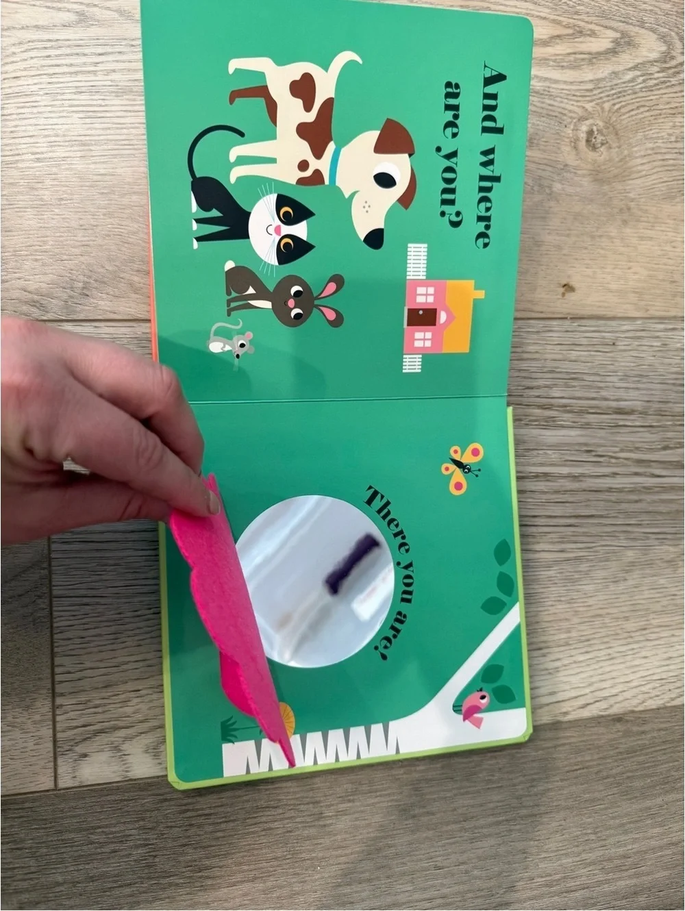 NEW! Where's the Dog? Board Book